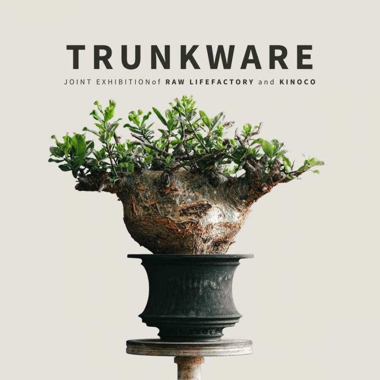 Exhibition and sale of RawLifeFactory flowerpots and TRUNKWARE works