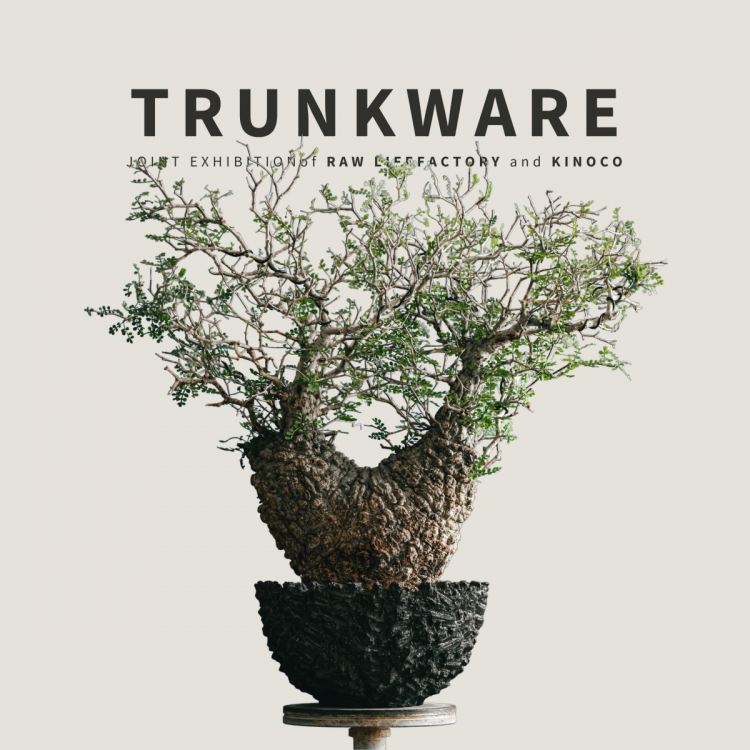 Exhibition and sale of RawLifeFactory flowerpots and TRUNKWARE works